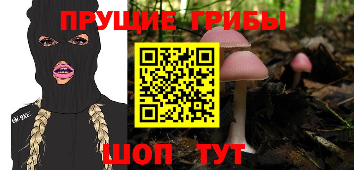 Шарыпово  Галлюциногенные грибы мухоморы  Вход с VPN 